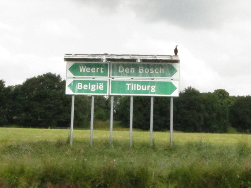figuur fotos/belgie-of-tilburg.jpg